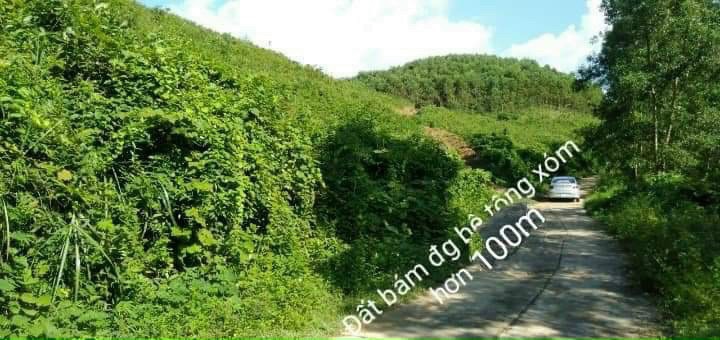 bán đất rừng sản xuất 40.000m2 chỉ hơn 2ty