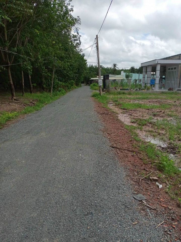 Vườn sầu riêng 1000m2 thu hoạch được luôn, Đất không dính hoạch và có thể lên thổ cư