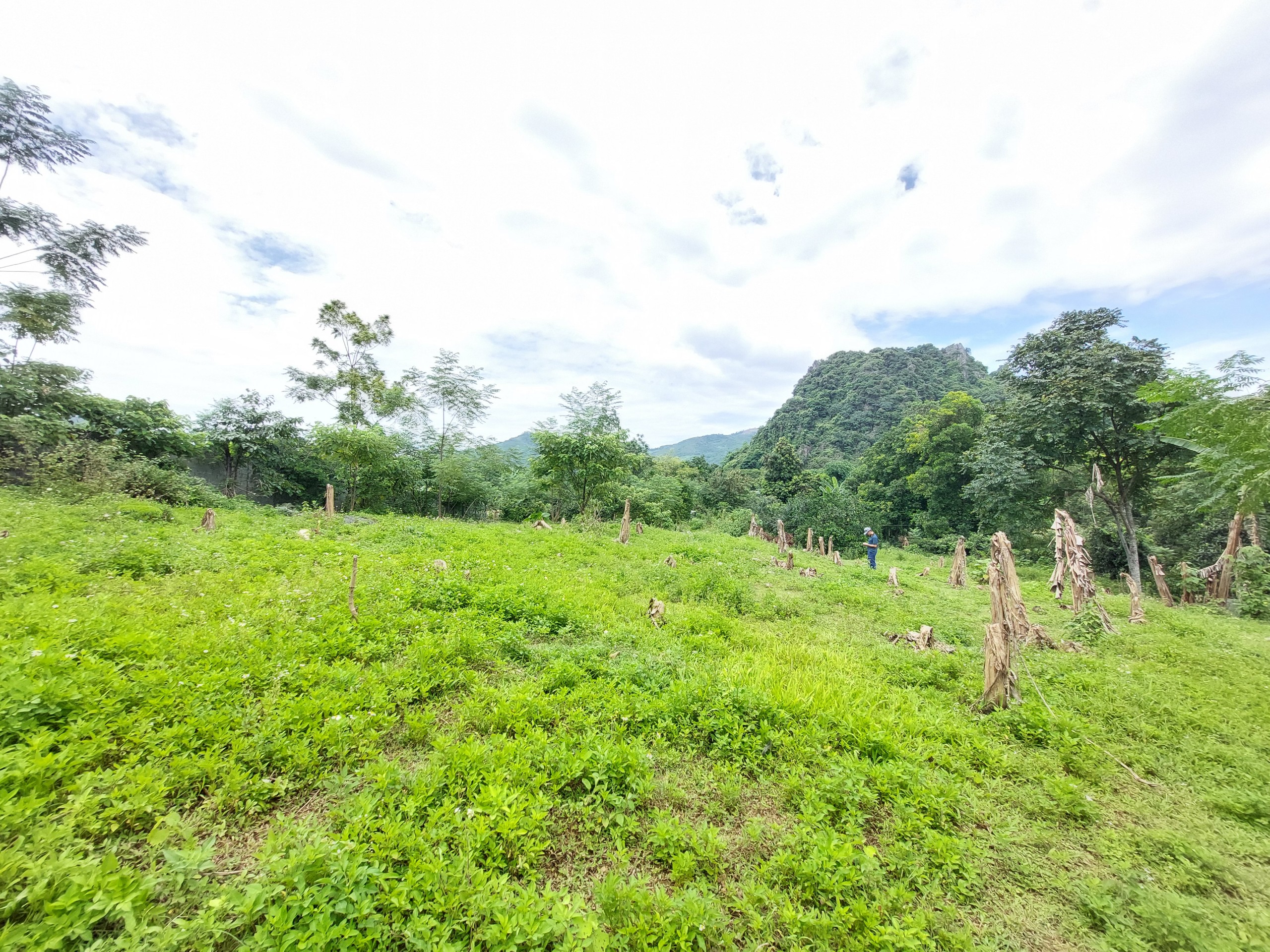 BÁN ĐẤT NGHỈ DƯỠNG 4000M TẶNG VƯỜN VÀ BẢN VẼ GIÁ 1,XTR/M LIÊN SƠN- LƯƠNG SƠN