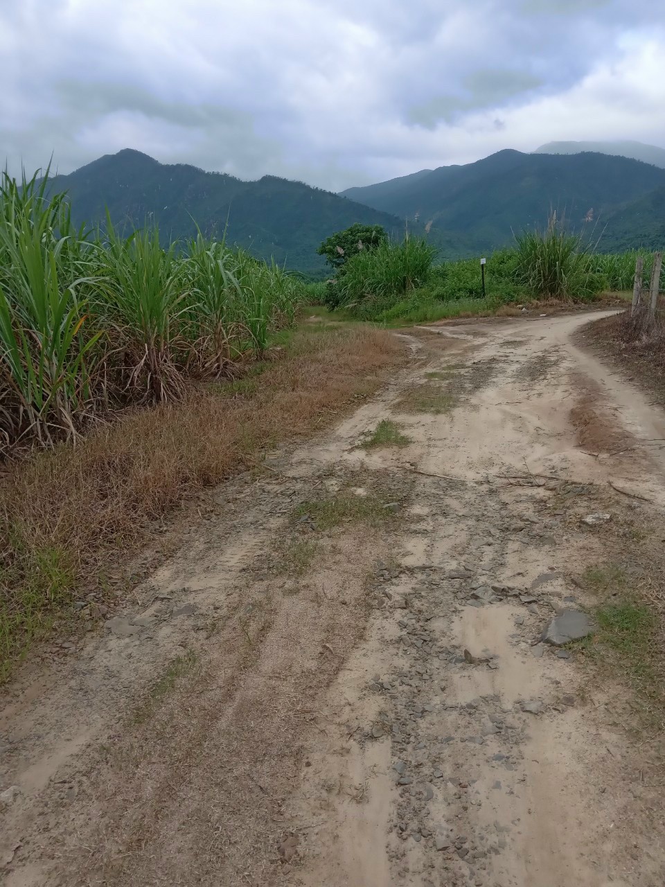 1500m2