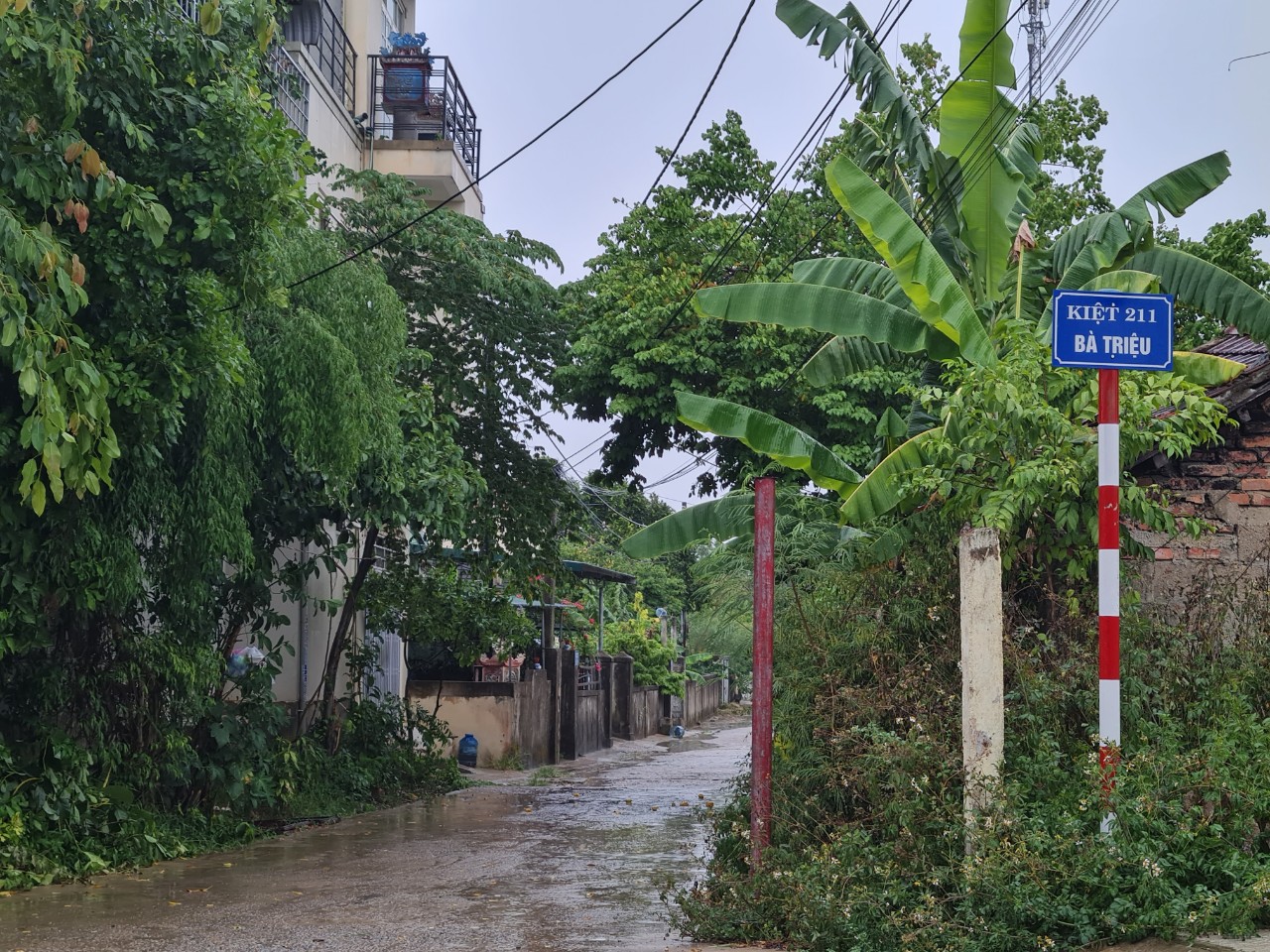 ĐẤT K211 BÀ TRIỆU, VỊ TRÍ ĐẮC ĐỊA VIEW CẦU DÂY VĂNG, GIÁ CHỈ 900tr