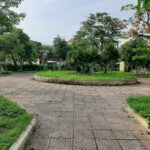  50m2 - 6