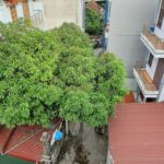  50m2 - 7