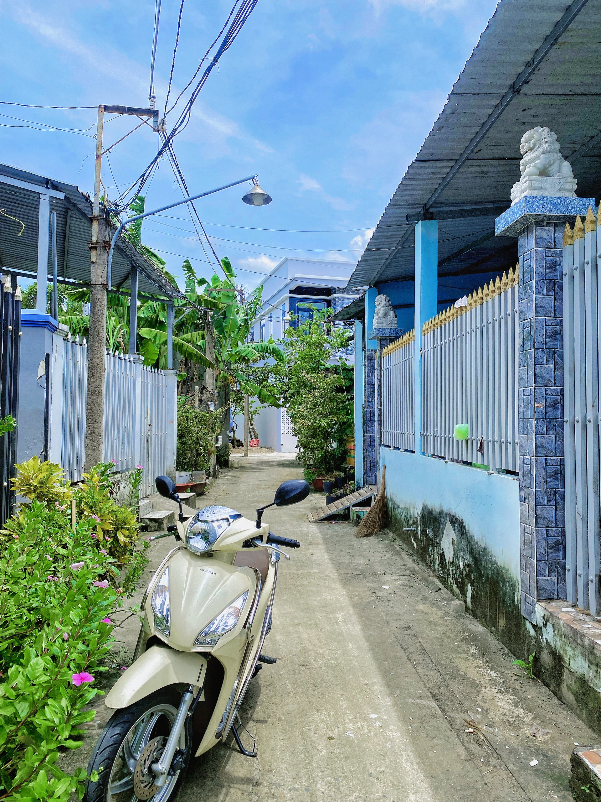 CẦN BÁN ĐẤT NỀN ĐÃ CÓ THỔ CƯ TẠI PHƯỜNG 9 MỸ THO TIỀN GIANG