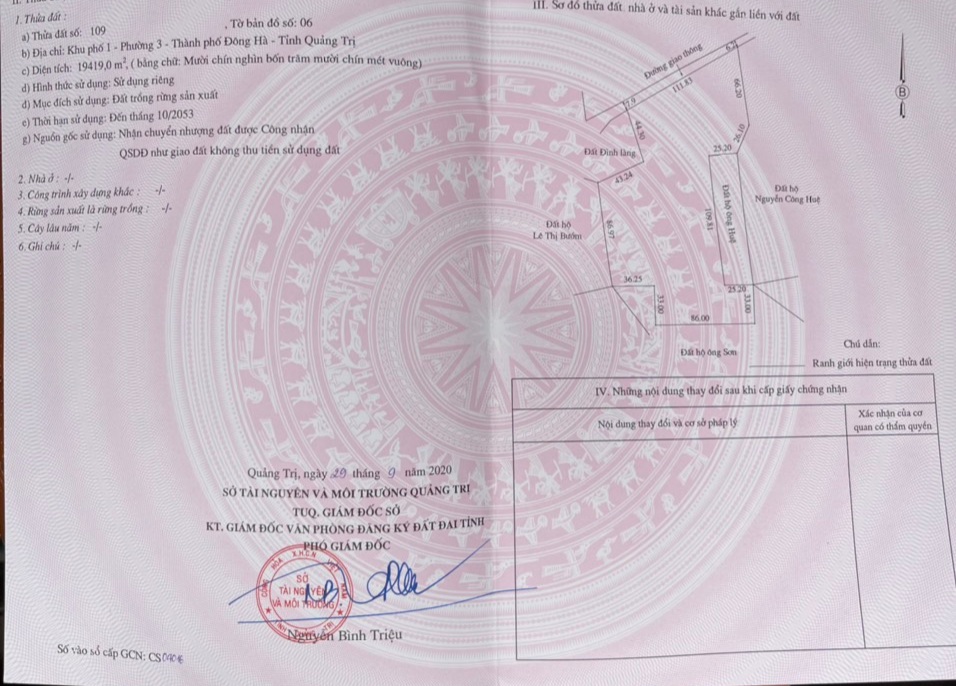 Hơn 3 hecta Đất Trồng Rừng Khe Lấp (Phường 3) Với Hàng Loạt Cây Ăn Quả Lâu Năm. Thu Hoạch Hàng Năm Cố Định...