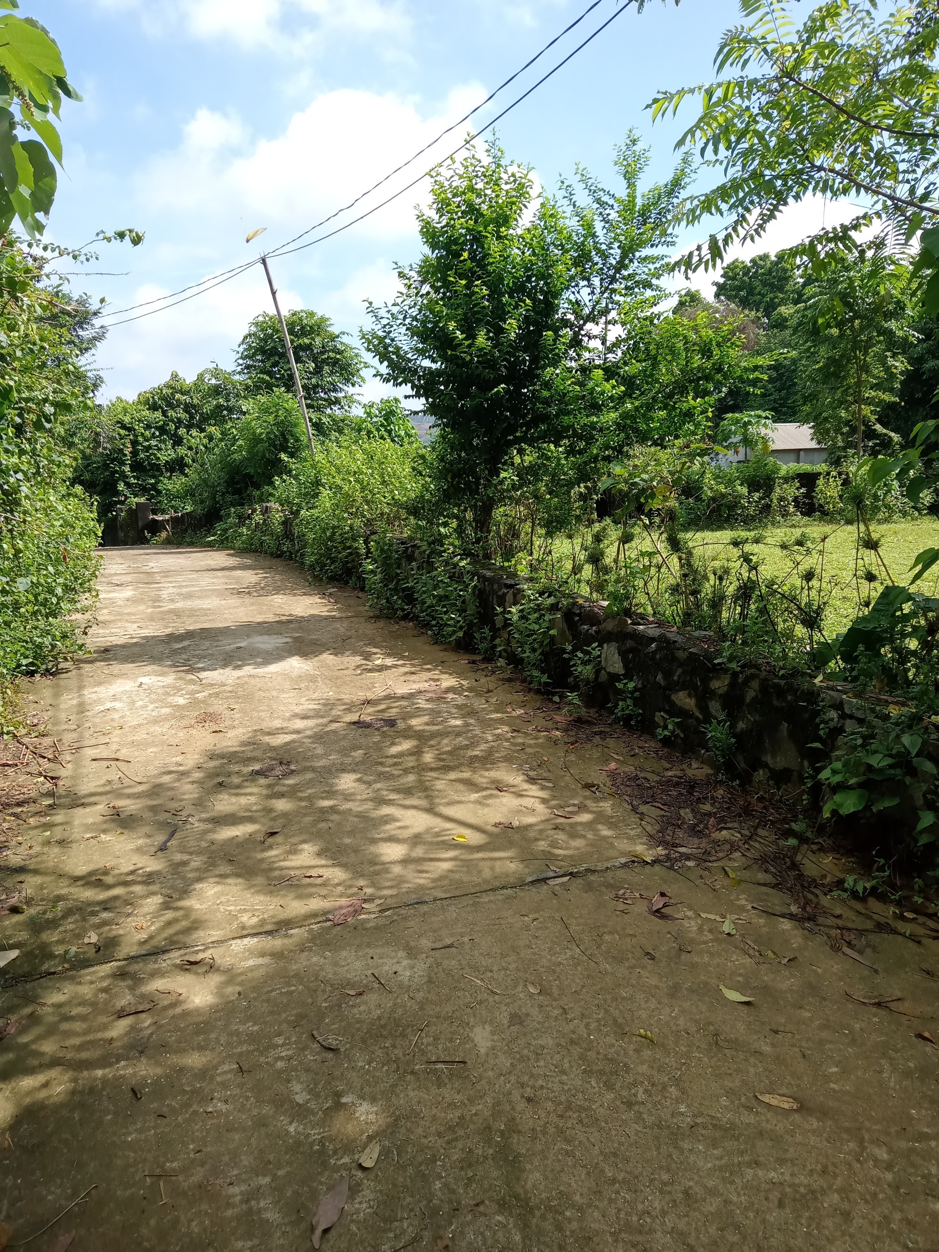 Bán Đất thổ cư - đất ở Tỉnh Lộ 446 Quốc Oai 1100m2