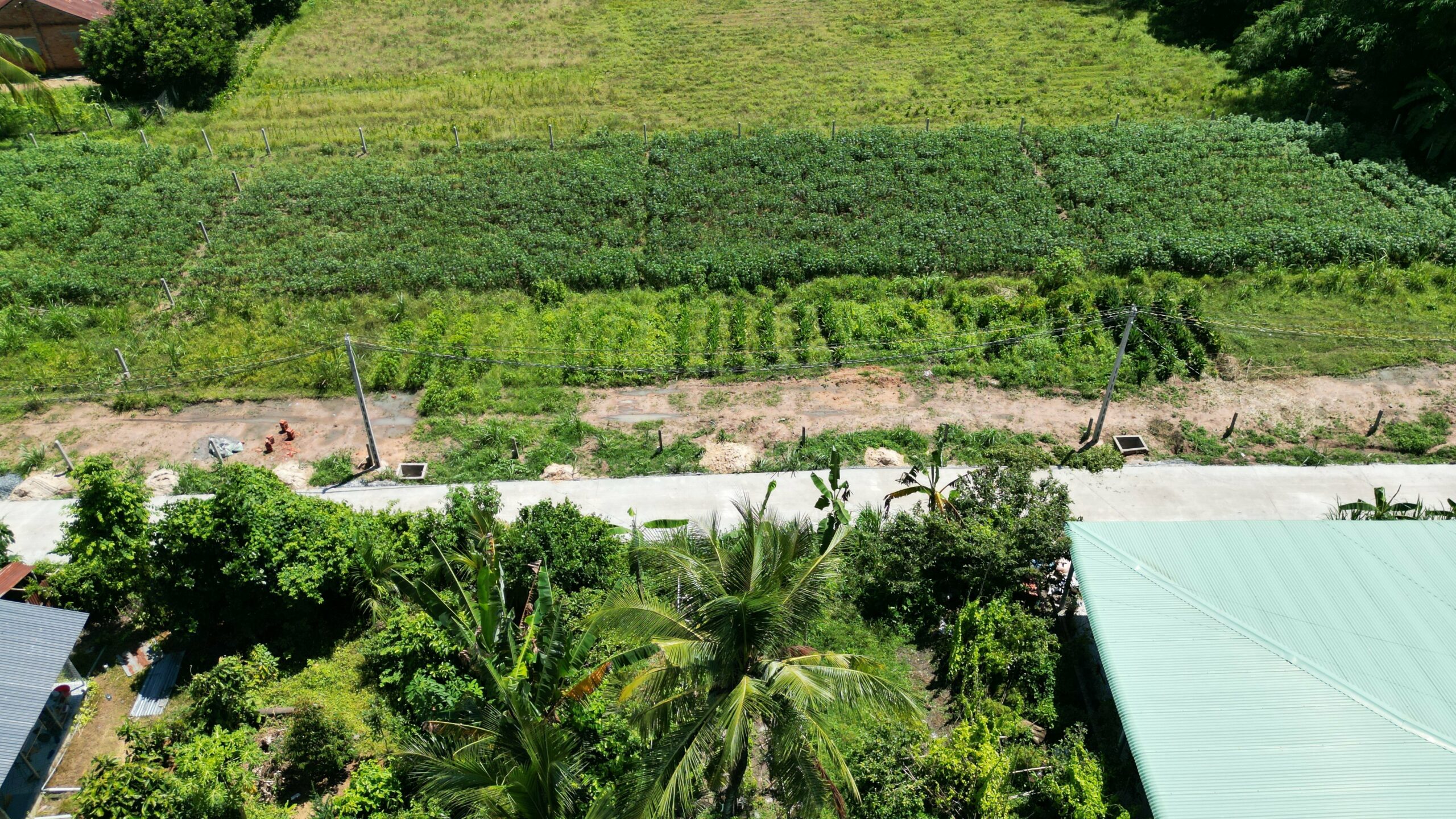 Newtown cây Đa hiệp thạnh gò dầu tây ninh