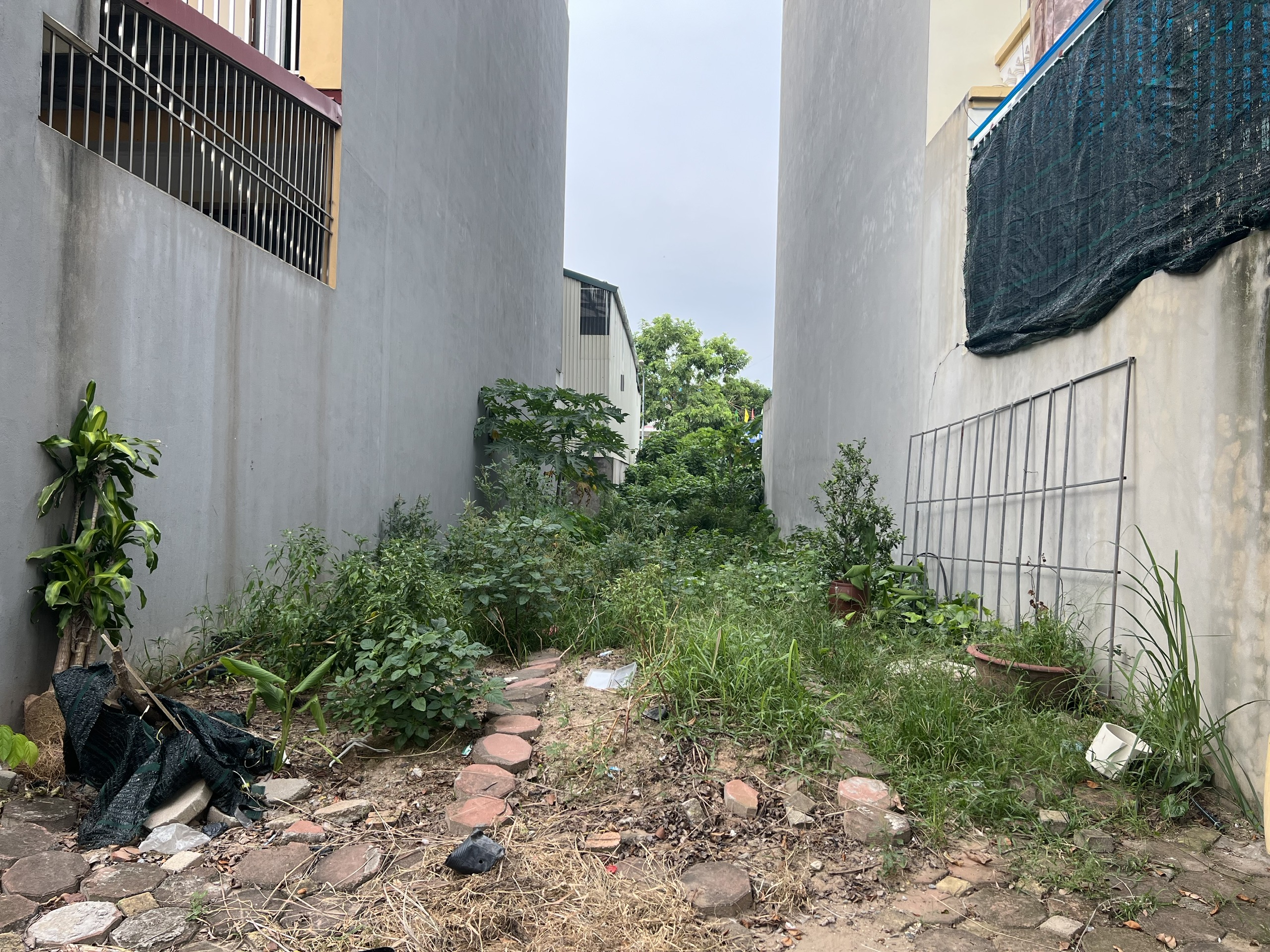 Chủ nhà cần tiền trả nợ giảm giá bán nhanh mảnh đất thổ cư tại TDP Kiên Thành, Trâu Qùy