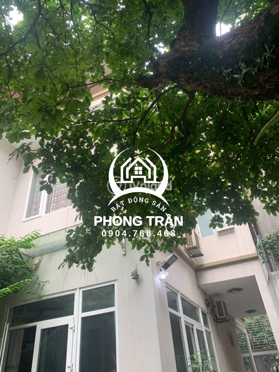 Bán Biệt Thự ngõ 603 Lạc Long Quân, Tây Hồ 218m2, Dòng tiền, Giá chỉ: 18,2 tỷ