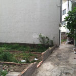 50m2