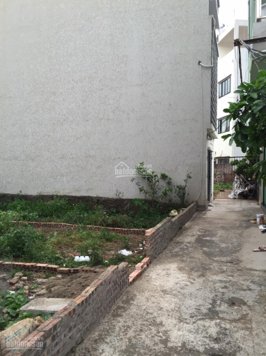 50m2