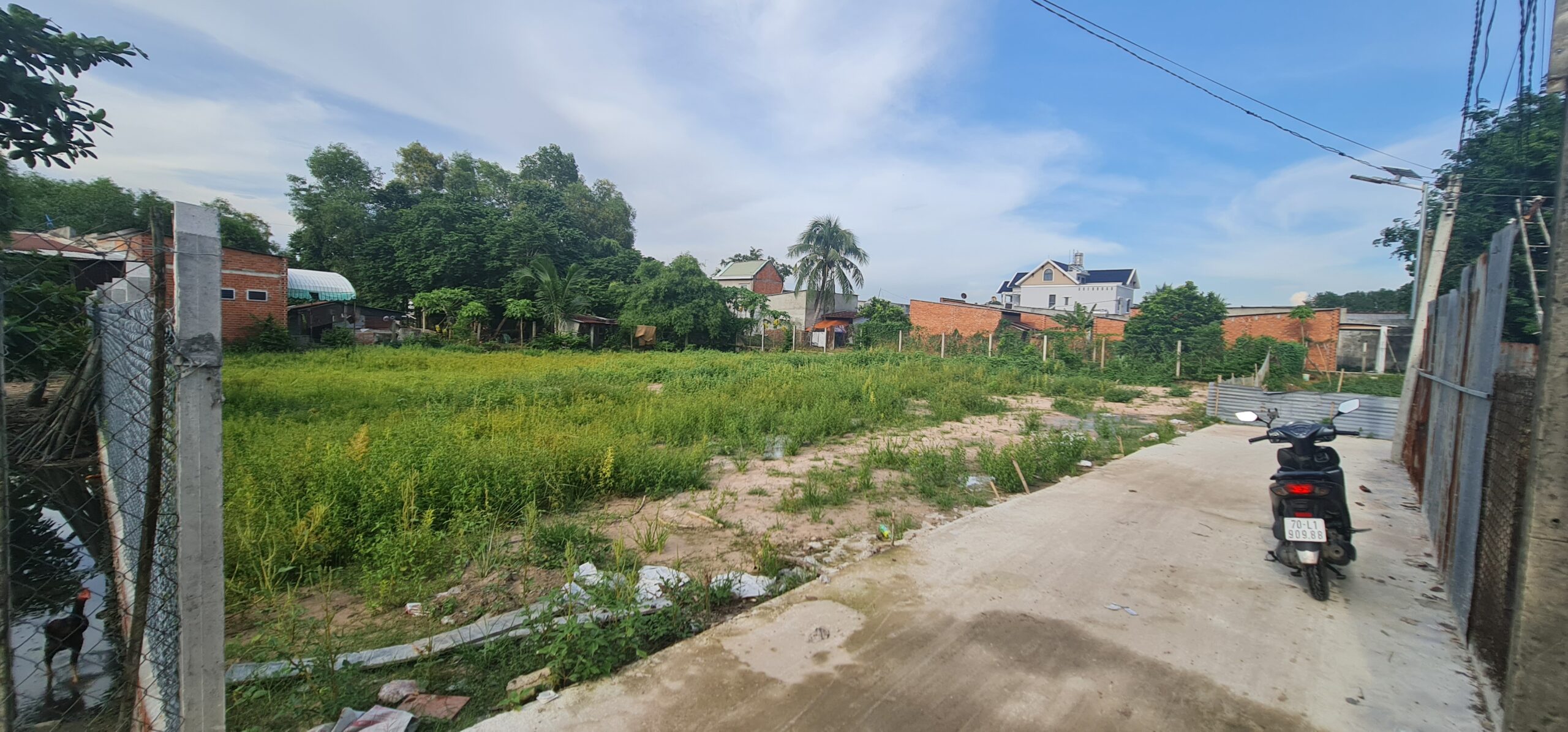 CẦN BÁN ĐẤT TRÂM VÀNG GÒ DẦU