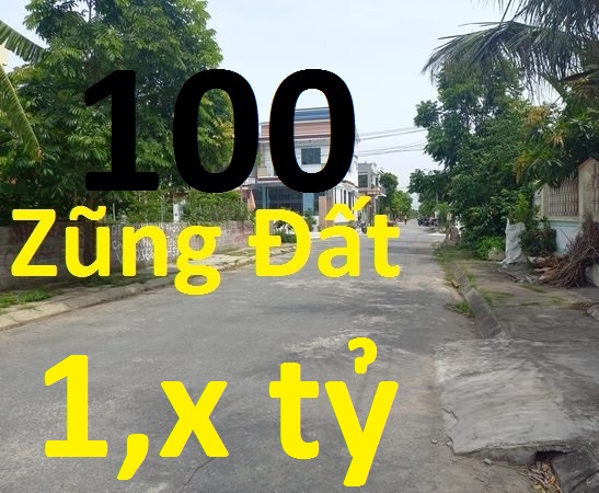 Rẻ nhất mặt Đường TÂN THÀNH - DƯƠNG KINH. Hải Phòng . 100m2 giá 1,x tỷ