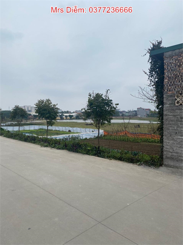 Mrs Diễm cần bán gấp 71.5m đất giá 3.2 tỷ tại Xóm Thượng, Uy Nỗ, Đông Anh.