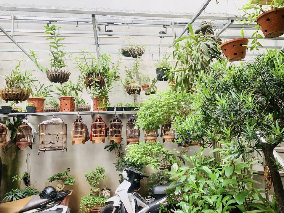 VIP An Trạch - Giá Lộc - Xây Chung cư Mini - Đầu tư - Dòng tiền - Dt 122m2, mặt tiền 9m