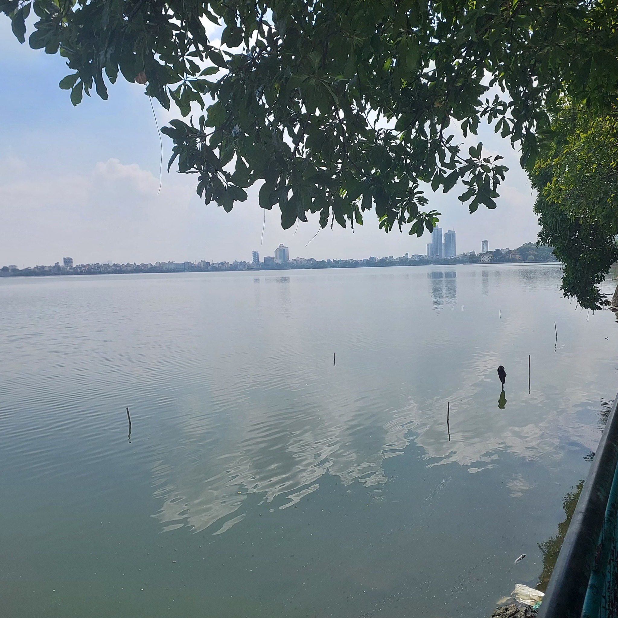 Quá hiếm Nguyễn Đình Thi, Tây Hồ, 39m2x5T, MT4m. Nhà đẹp, dạo bước Hồ Tây, quy hoạch ổn định. 5 tỷ