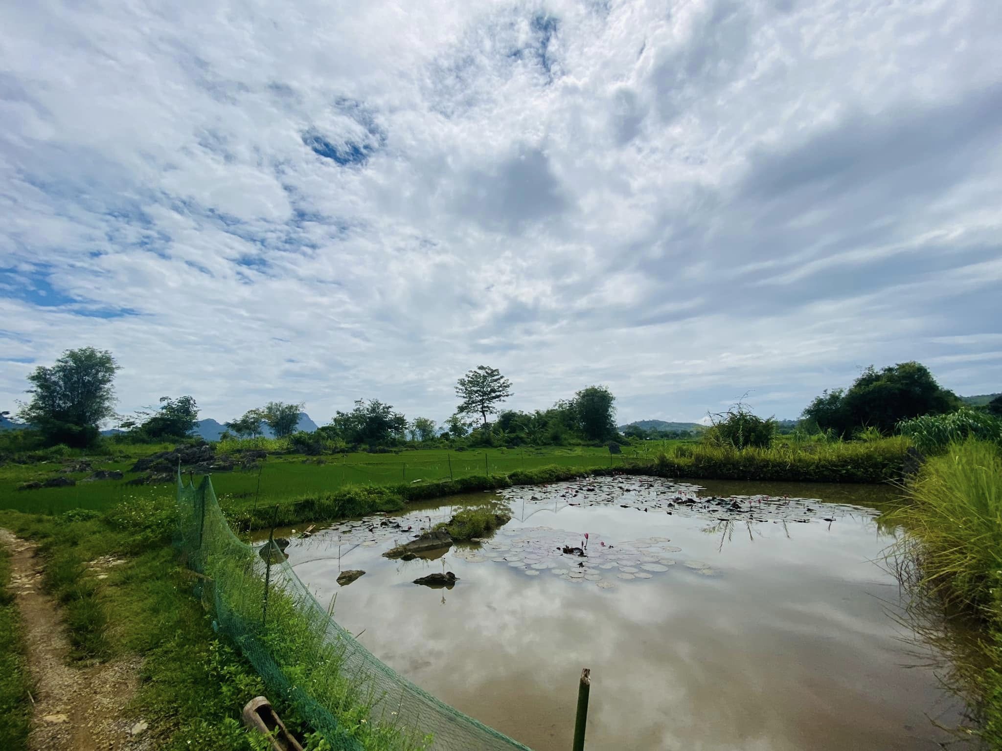 Diện tích: 1333m có 400ont tại Tân Lạc. Diện tích thực tế gần 2000m. Có cả cái ao súng to trước mặt nha