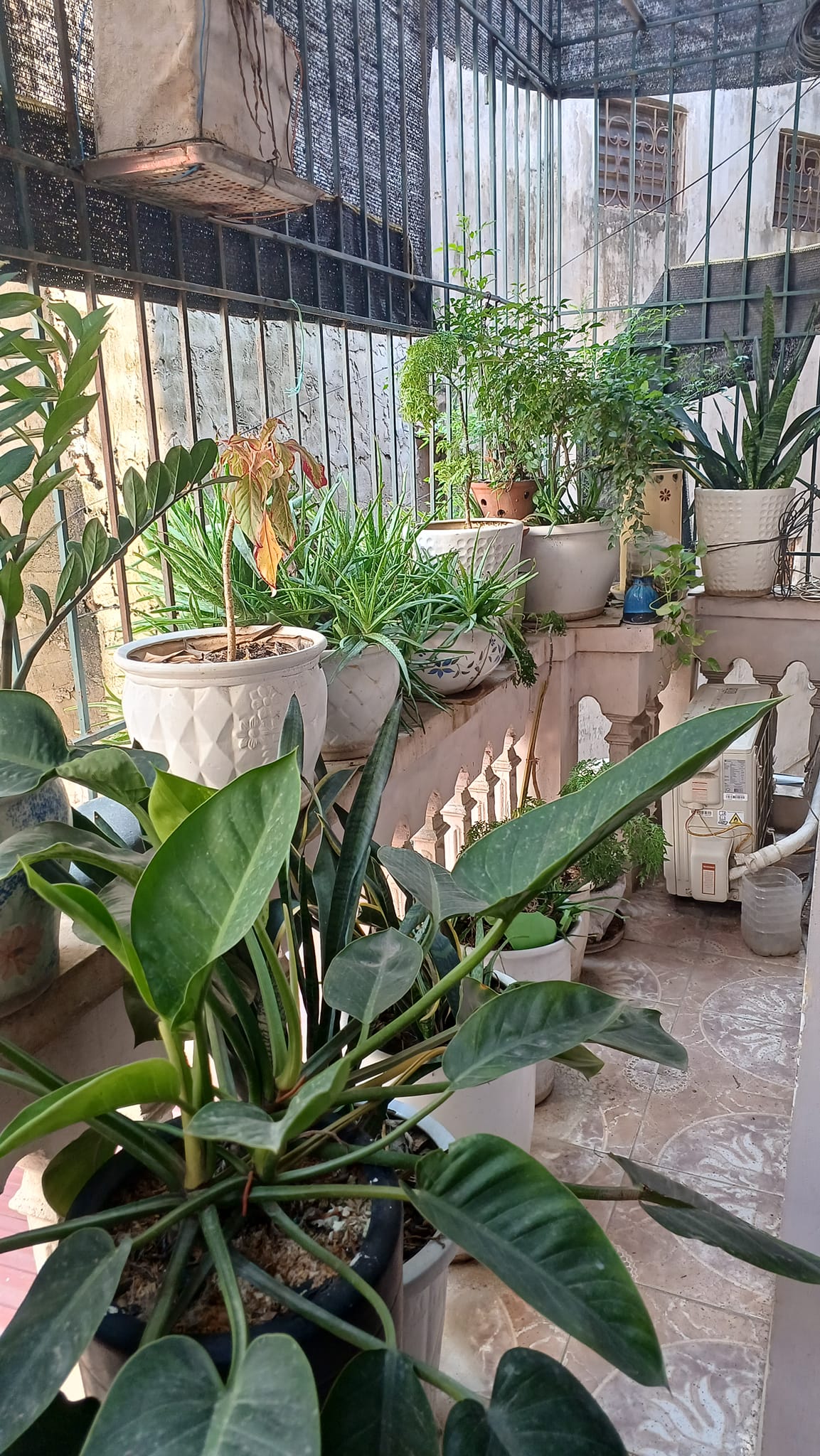 Bán nhà ngõ Phạm Văn Đồng cách ngõ ô tô 50m nét như sony