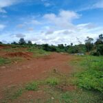  15000m2 - 5