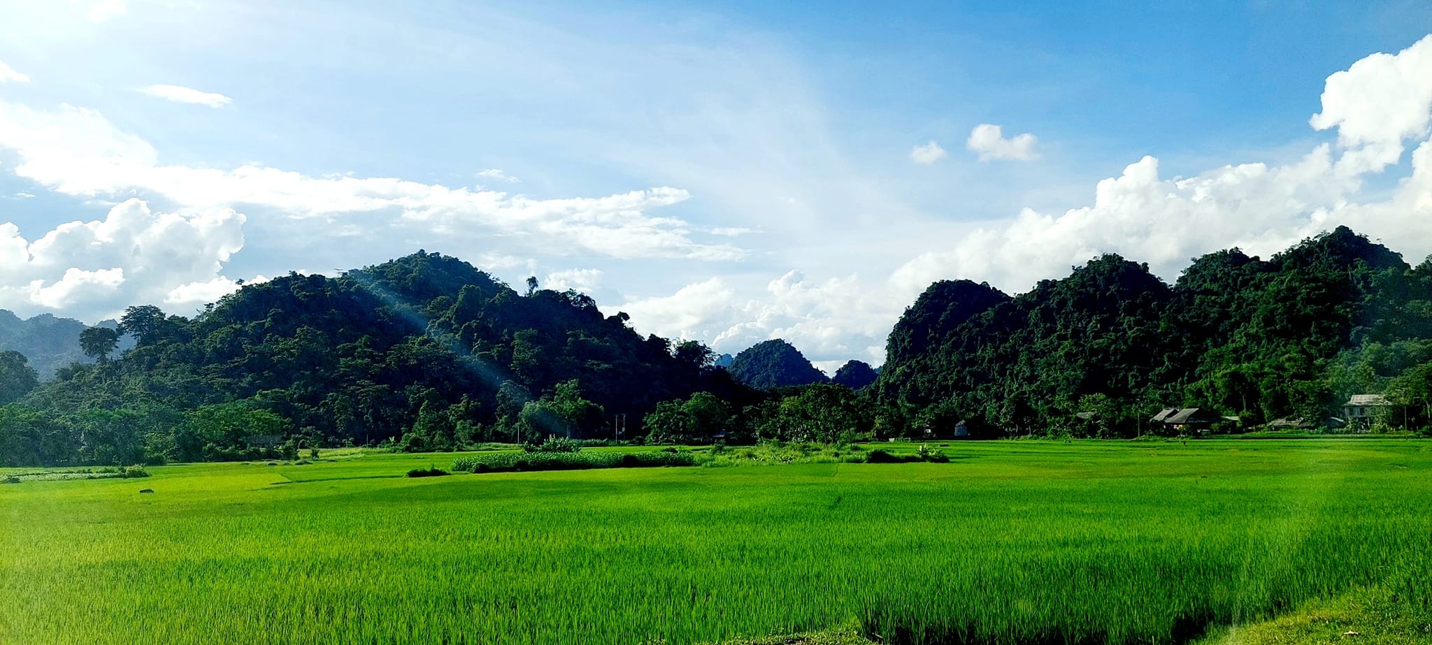 2700m2 (200m2 ONT + CLN) Tại Xóm Đung, xã Phú Vinh, Tân Lạc, Hòa Bình .Thế đất thoải đẹp view cánh đồng