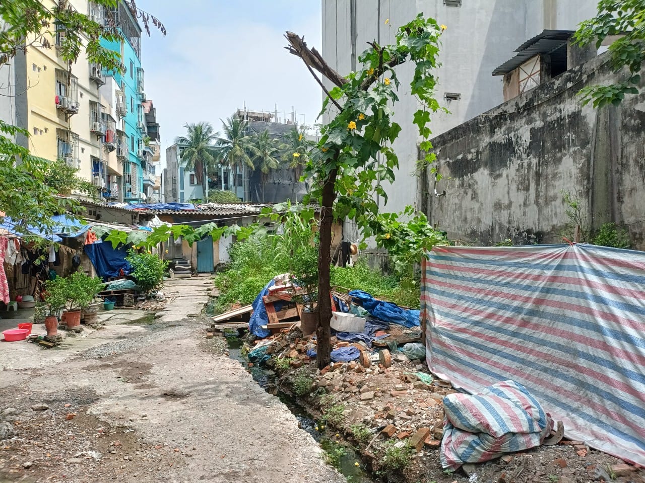 BÁN ĐẤT MẶT NGÕ2 OTO TRÁNH PHỐ YÊN HÒA- CẦU GIẤY DIỆN TÍCH 90M, GIÁ CHỈ 80 TRIỆU/ M2