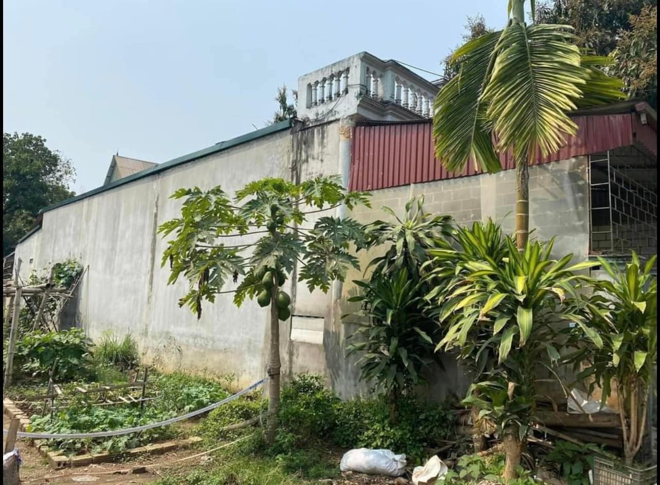 Bán đất tặng nhà cấp 4 tại phường Nam Thanh, thành phố Điện Biên Phủ