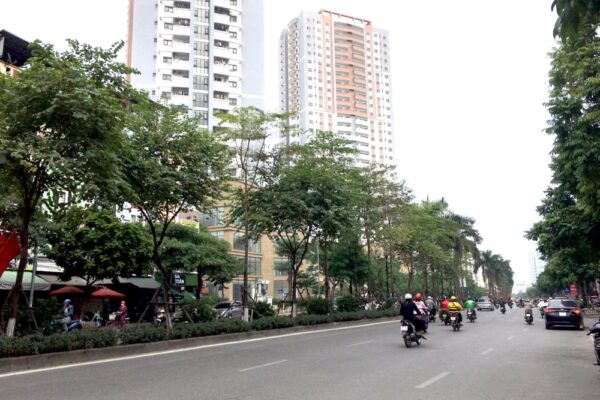 ban nha trieu do Hoang Mai (3) ban nha trieu do Hoang Mai (3)