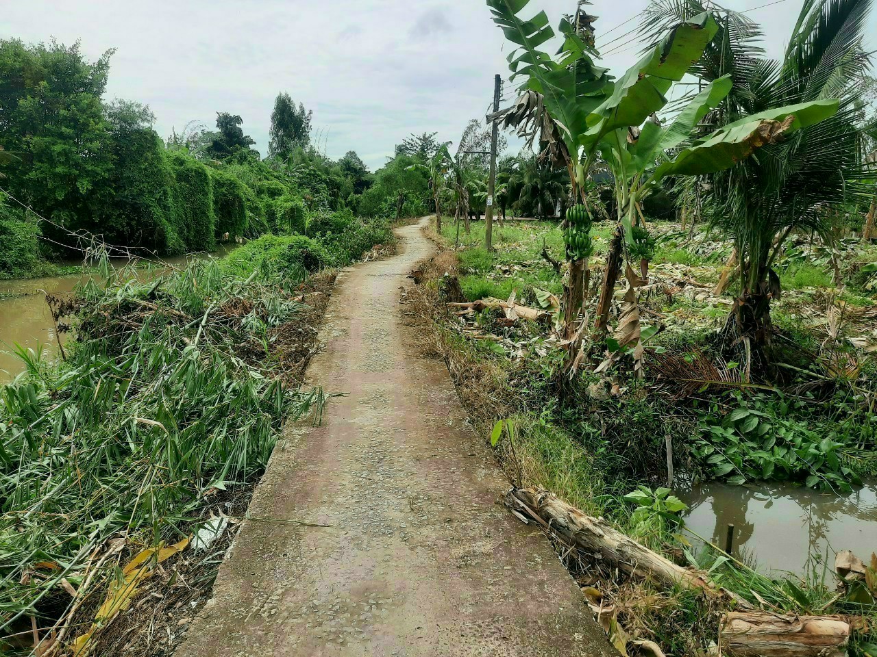 Đất 2 mặt tiền view sông Ô Môn - Cần Thơ