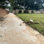  100m2 - 4