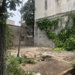  100m2 - 1