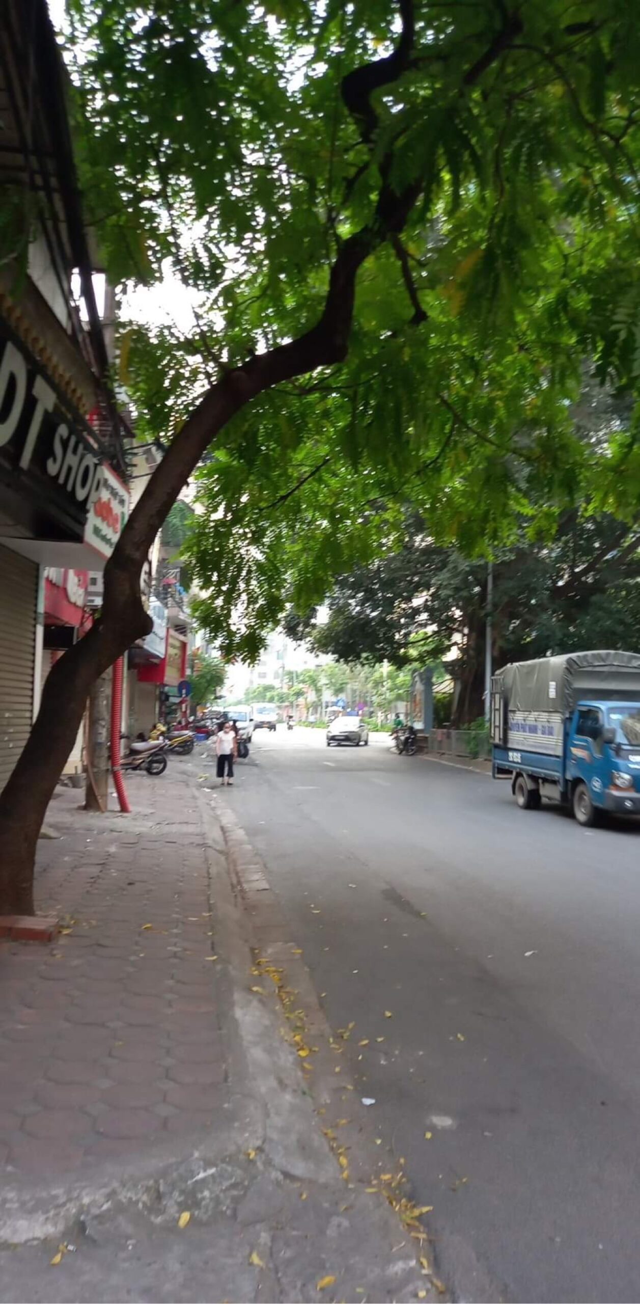 Nhà Mặt Phố NGUYỄN ĐÌNH HOÀN CẦU GIẤY . 280m2 x 4 Tầng , Mặt Tiền 7m , Giá 56Tỷ.