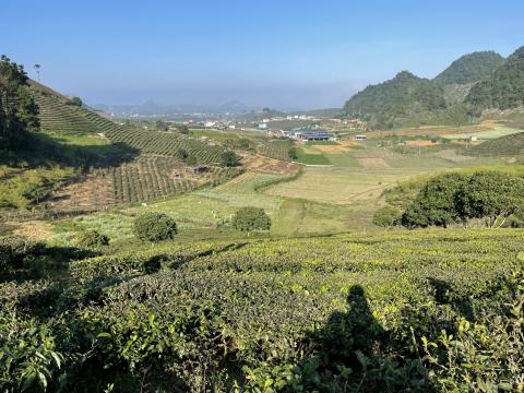 ĐẤT NỀN MỘC CHÂU GIÁ RẺ ĐÓN SÓNG QUY HOẠCH 1/500 KHU DU LỊCH QUỐC GIA MỘC CHÂU