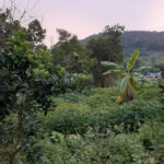 5300m2