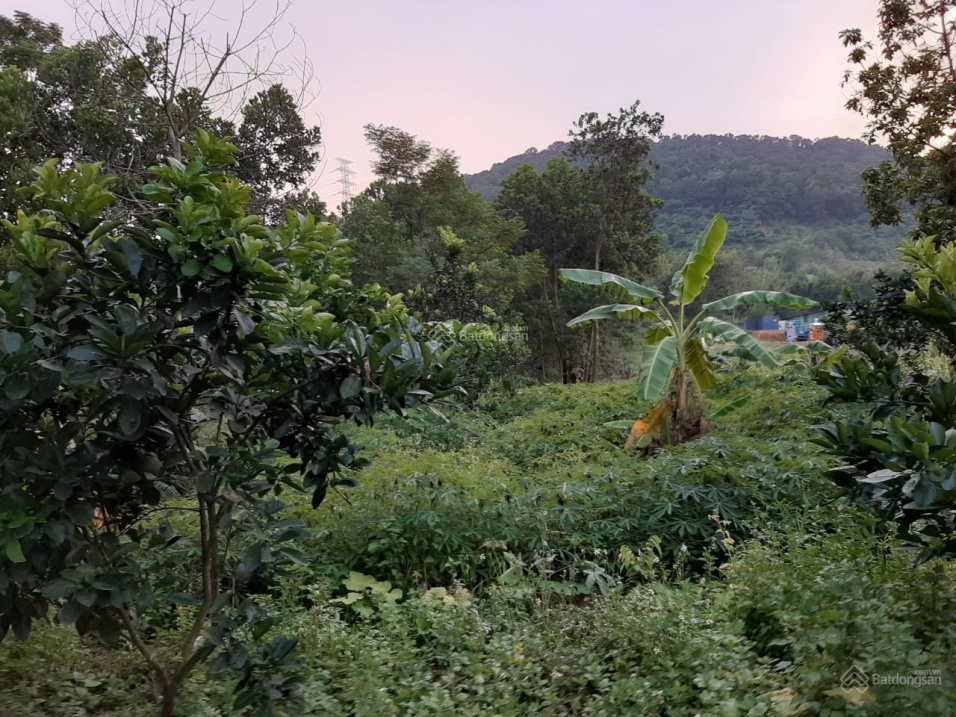  5300m2
