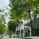  139m2 - 3