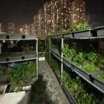  50m2 - 6