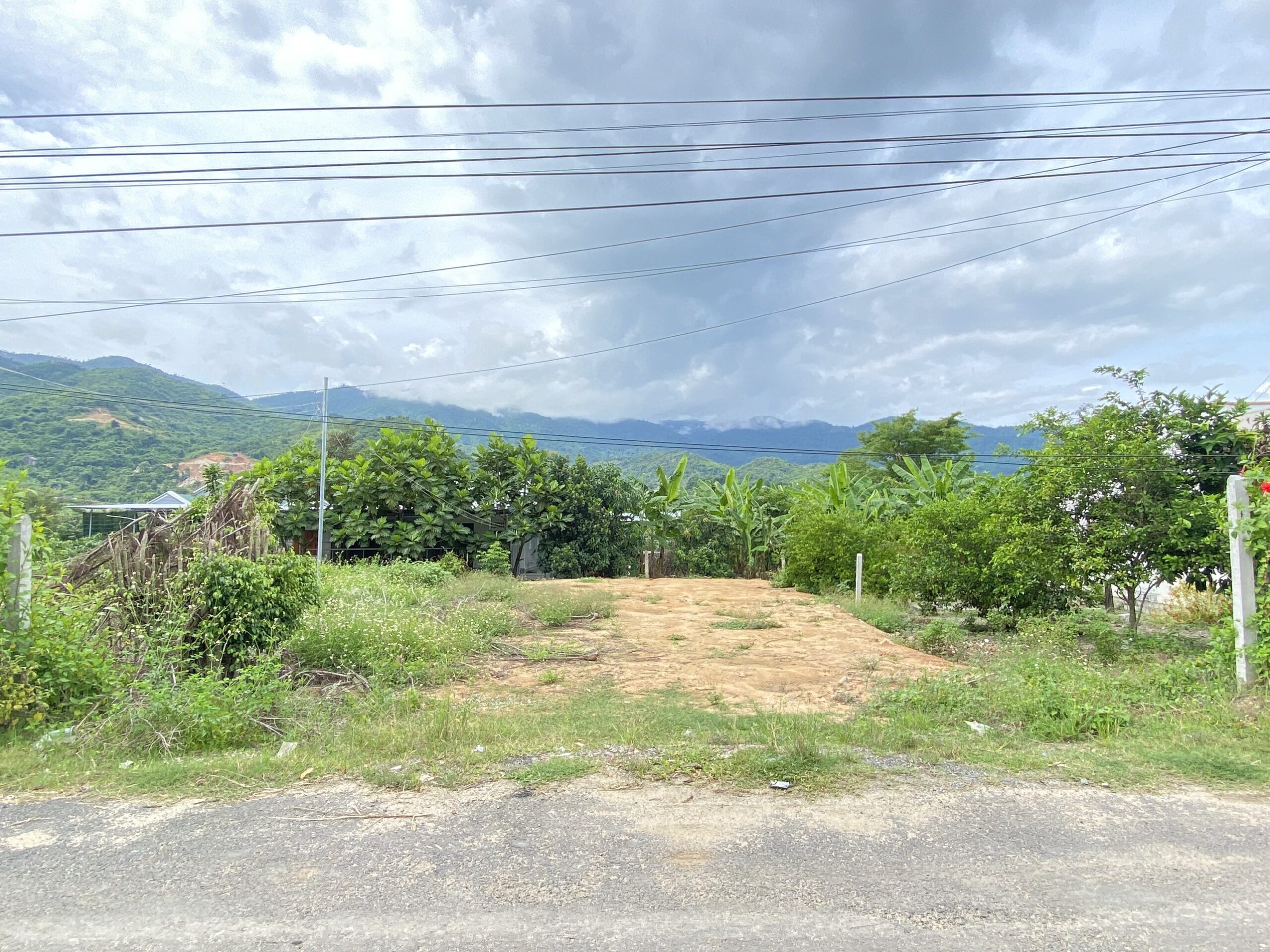 BÁN ĐẤT DIÊN TÂN MẶT TIỀN HƯƠNG LỘ 62 CÁCH TIỆN ÍCH CHỈ 700M