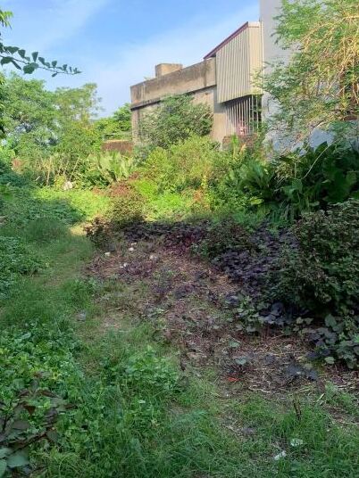 Đất hồng vân chỉ chưa tới 10 tr/1m2