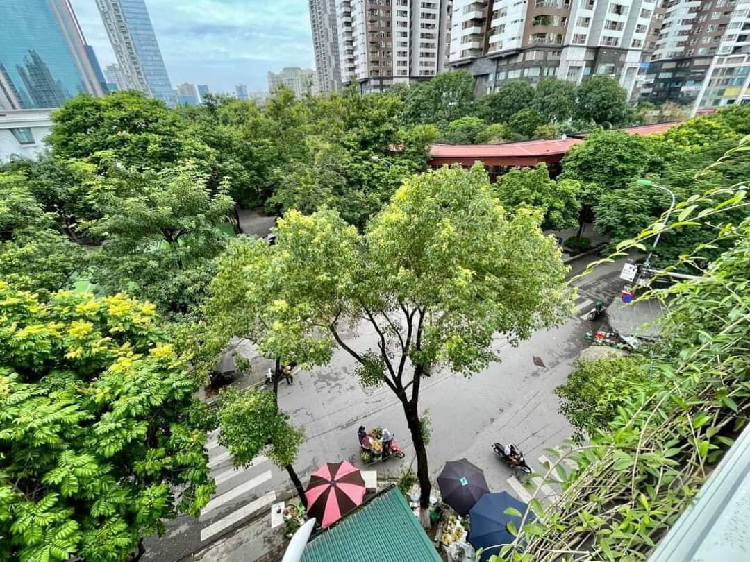 LÔ GÓC BIỆT THỰ MẶT PHỐ NGUYỄN THỊ THẬP CỰC HIẾM KINH DOANH SẦM UẤT NHẤT KHU VỰC TRUNG HOÀ CẦU GIẤY