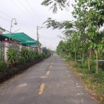  115m2 - 1
