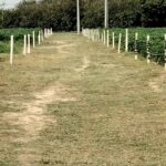  100m2 - 4