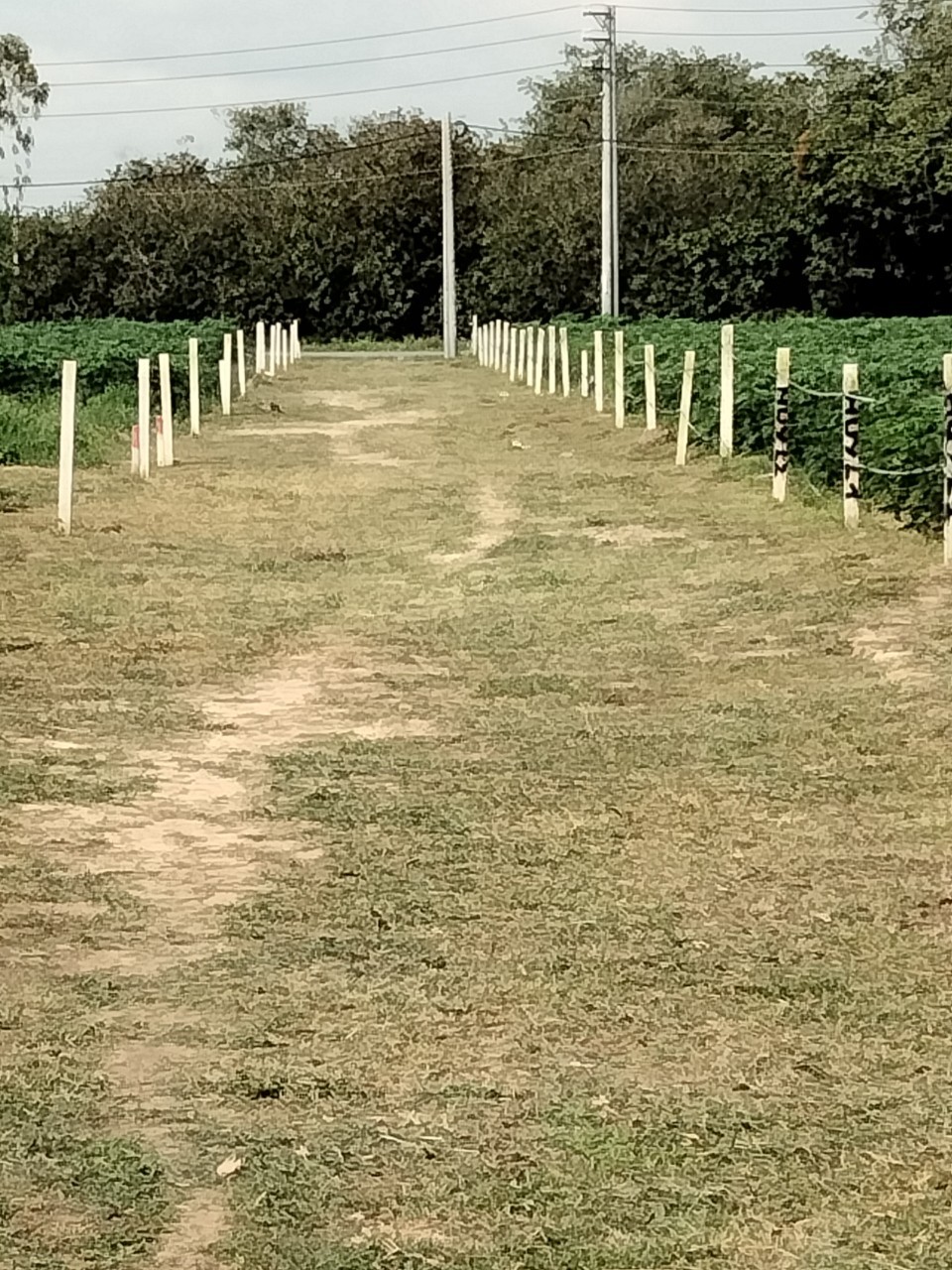 Bán đất ấp 3 an viễn trảng bom. Cách sân bay 8km qua đại lộ bắc sơn long thành 800m