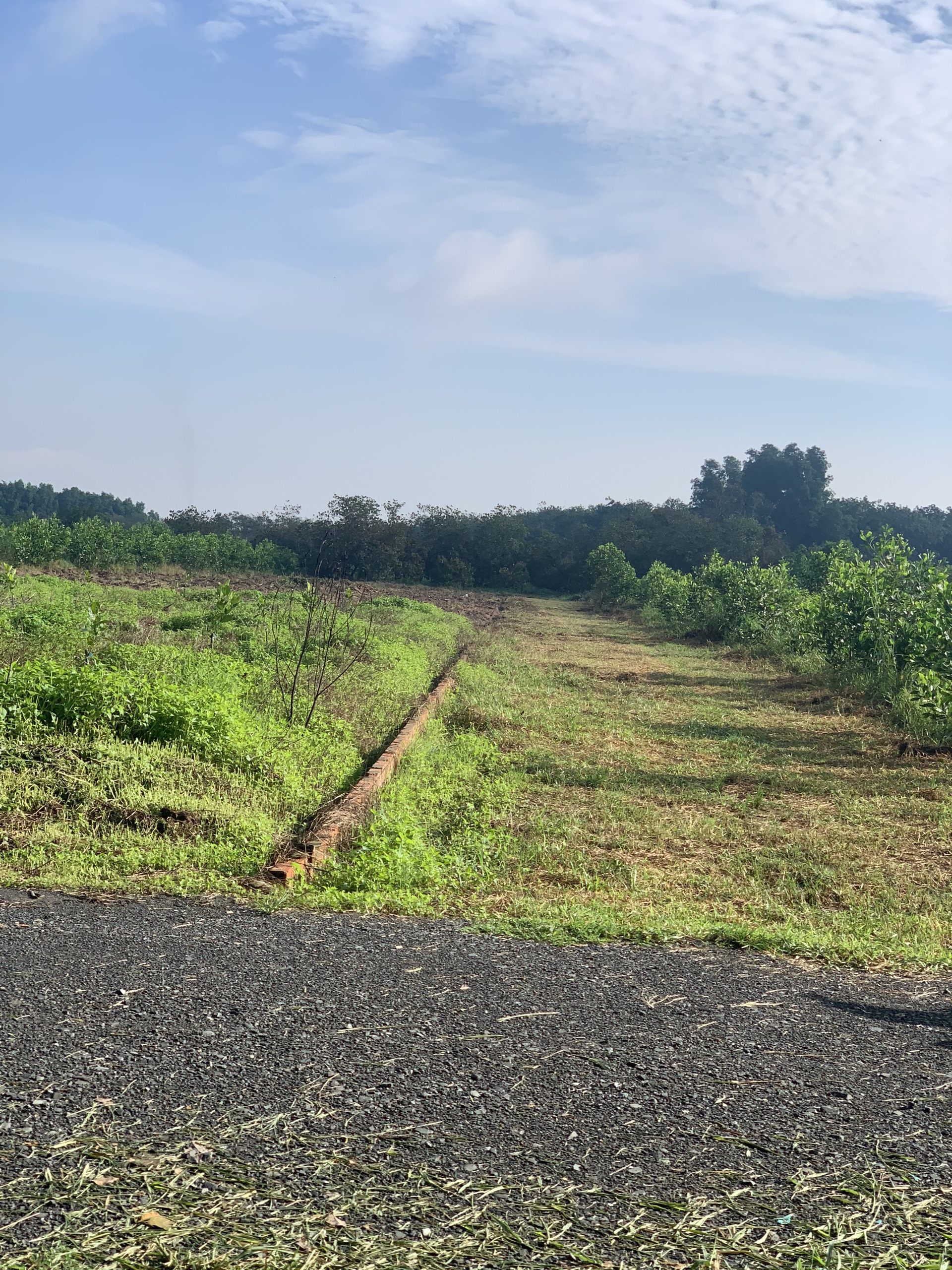 Bán đất ấp 3 an viễn trảng bom. Cách sân bay 8km qua đại lộ bắc sơn long thành 800m. Sổ sẵn công chứng ngay