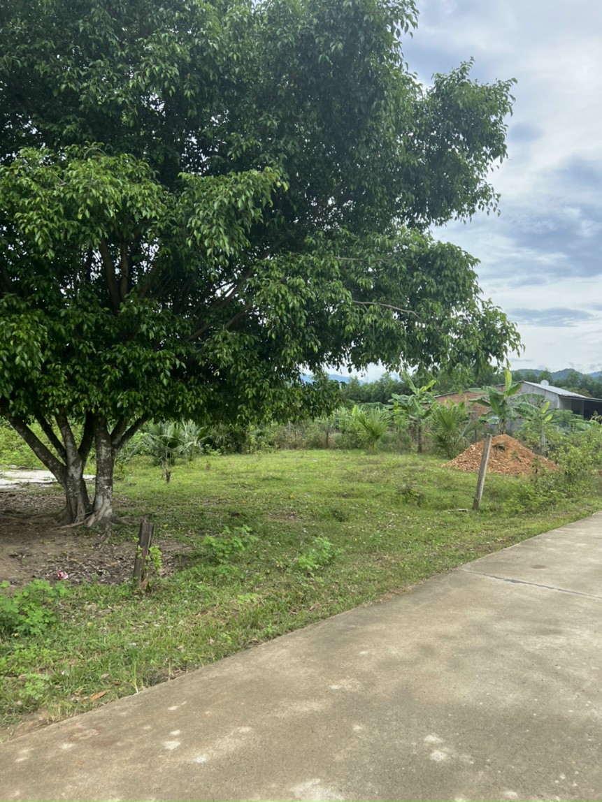 Lô Khánh Bình đường petong, QH thổ cư giá rẻ quá