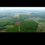  2268.7m2 - 4