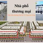 100m2 - 1