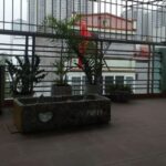  50m2 - 1