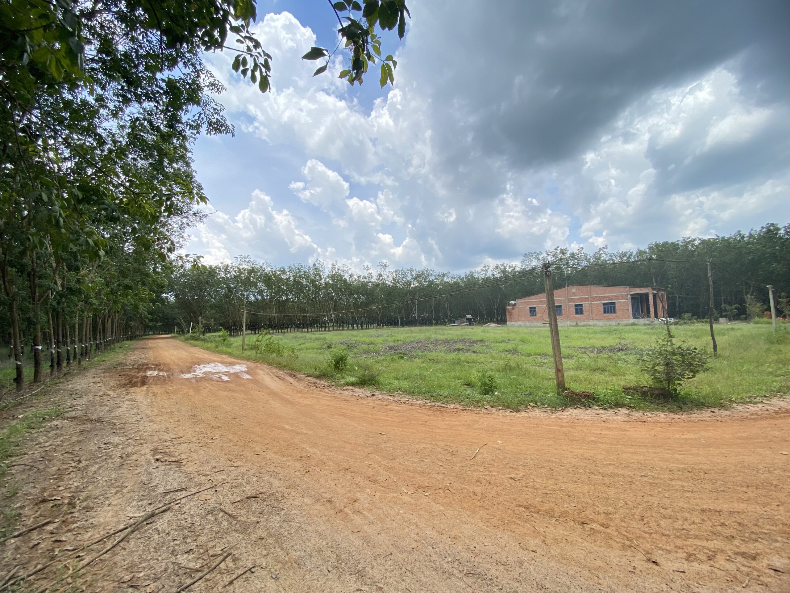 🎯🎯🎯CHÍNH CHỦ 15 NỀN THẠNH BÌNH - TÂN BIÊN, TÂY NINH️‍🎯🎯🎯