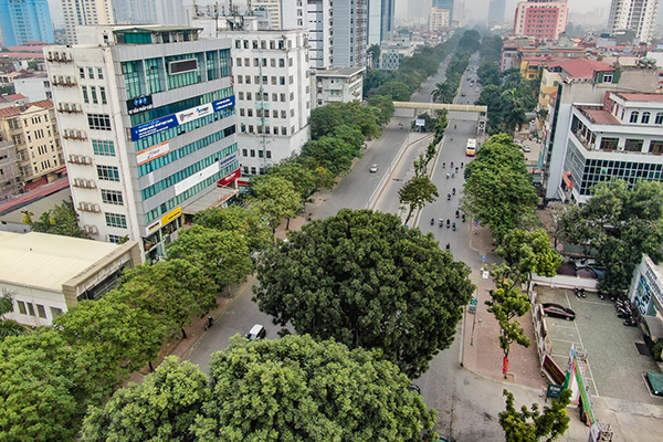 ban nha duong hoang quoc viet
