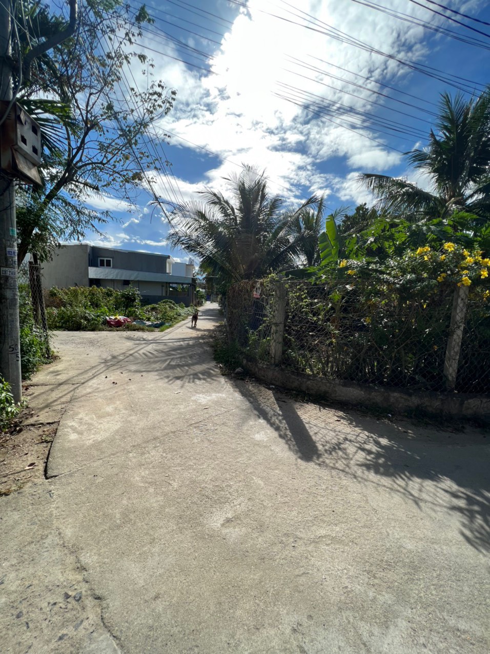 Lô góc 2 mặt tiền Vĩnh Hiệp đường petong oto đến nơi